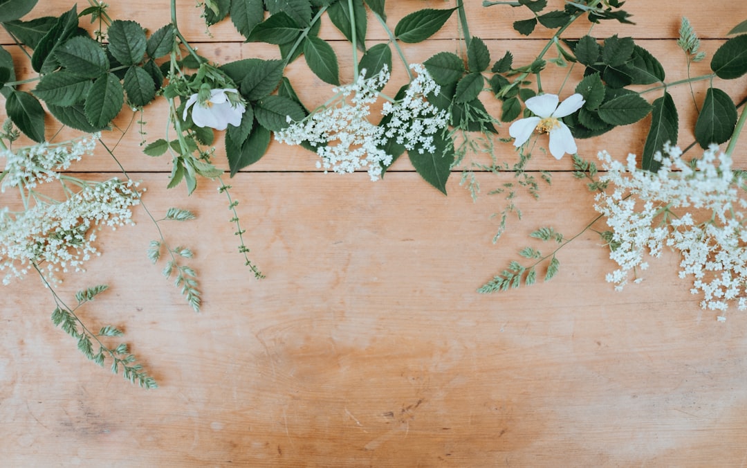 Stevens Funeral Home: Providing Compassionate Services in Wilson, NC